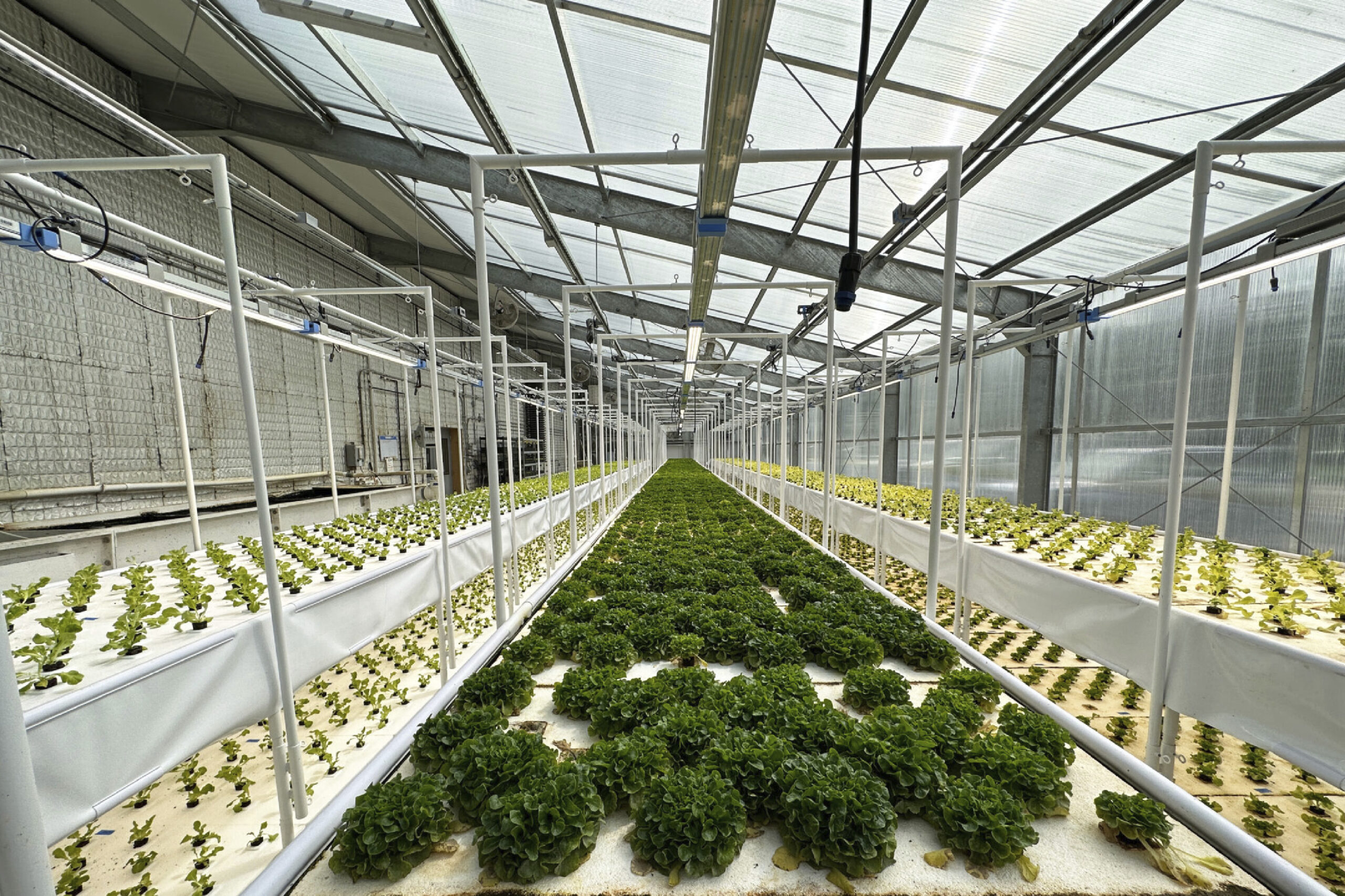 FCPC Aquaponics Expansion image 1